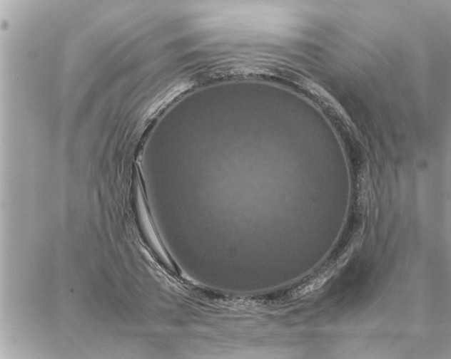 X0000087360785200705041854