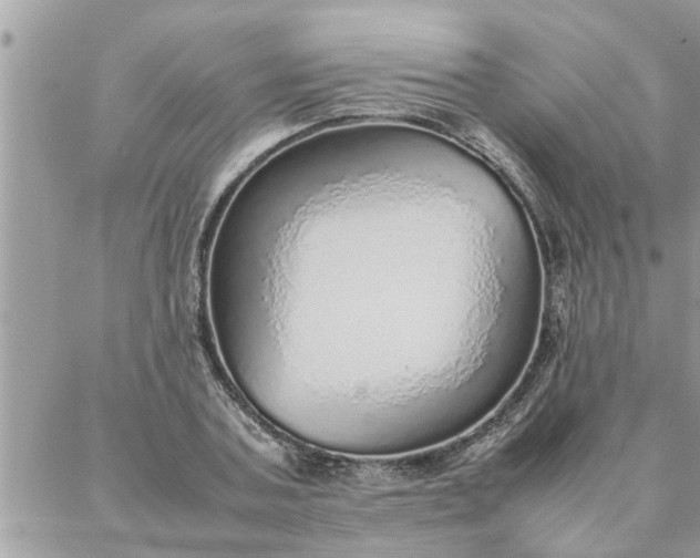 X0000087360787200705041854