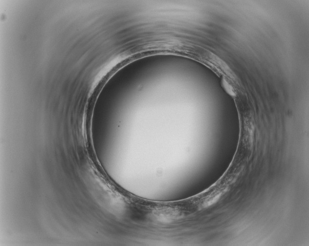 X0000087360788200705041854