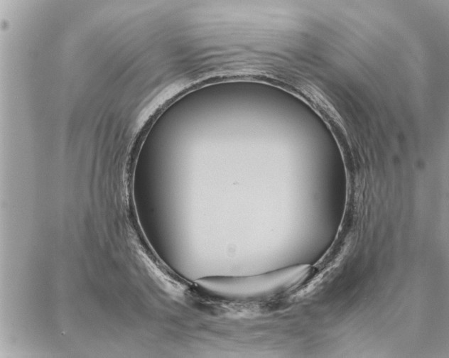 X0000087360789200705041854