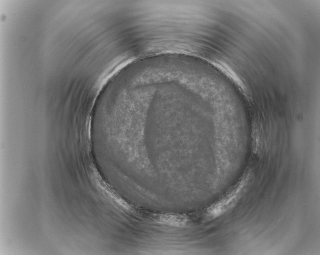 X0000087360790200705041854