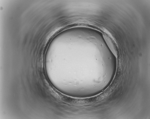 X0000087360791200705041854