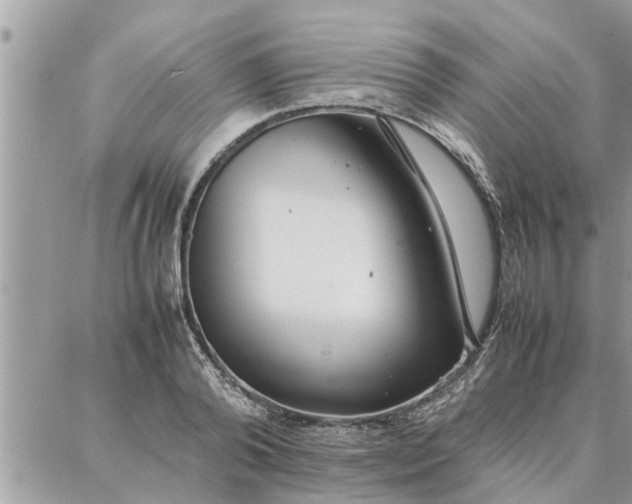 X0000087360792200705041854