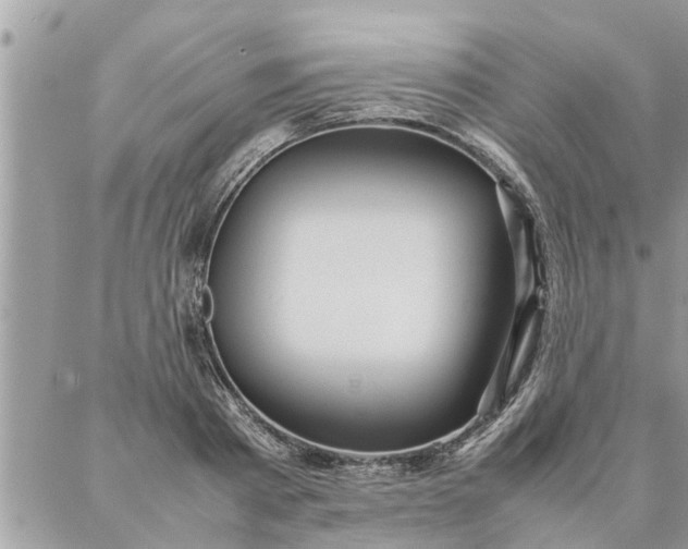 X0000087360793200705041854