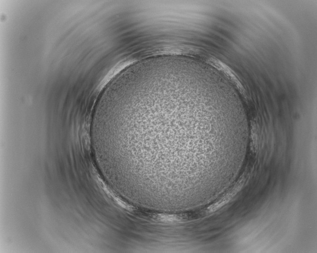 X0000087360794200705041854