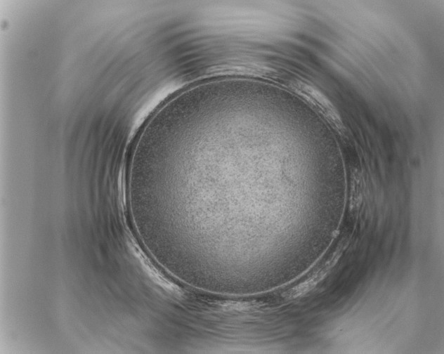 X0000087360796200705041854