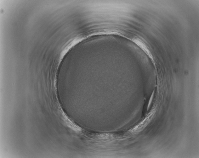 X0000087360797200705041854