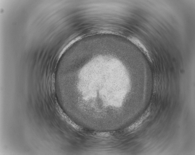 X0000087360798200705041854