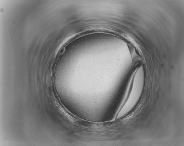 X0000087360799200705041854