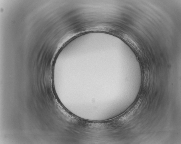 X0000087360800200705041854