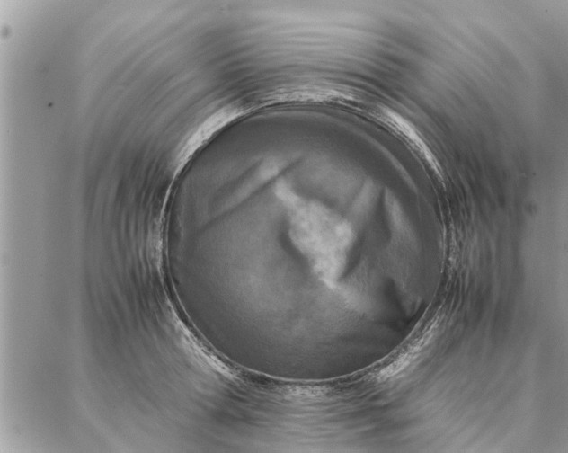 X0000087360802200705041854