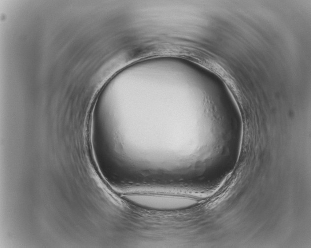 X0000087360803200705041854