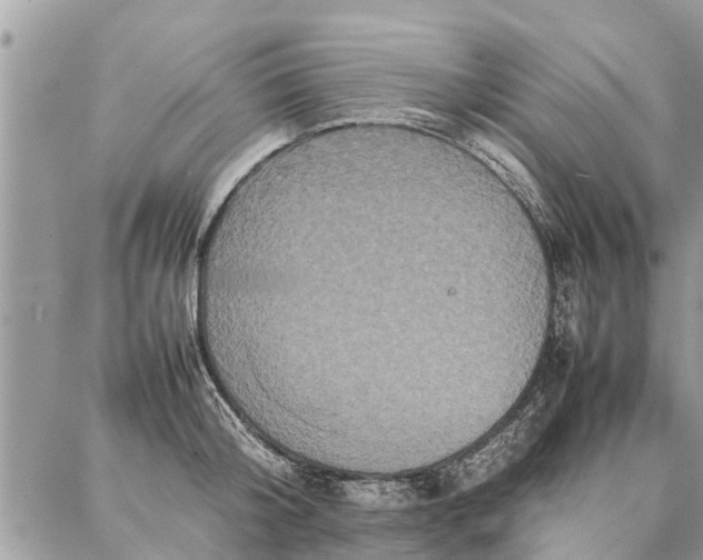 X0000087360804200705041854