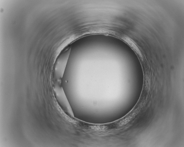 X0000087360805200705041854