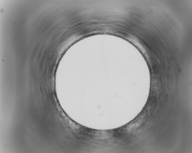 X0000087360807200705041854