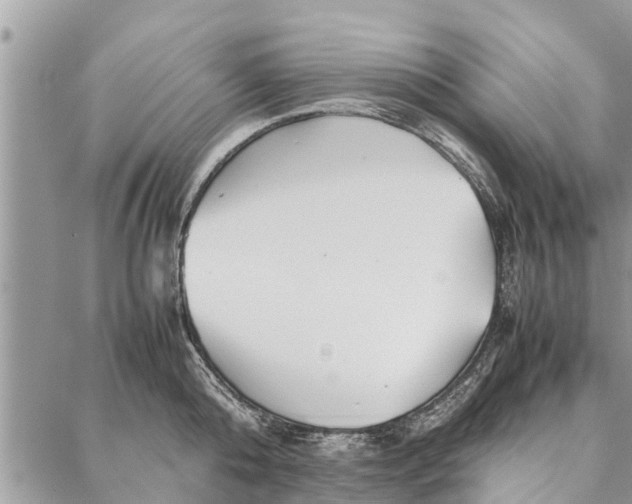 X0000087360808200705041854