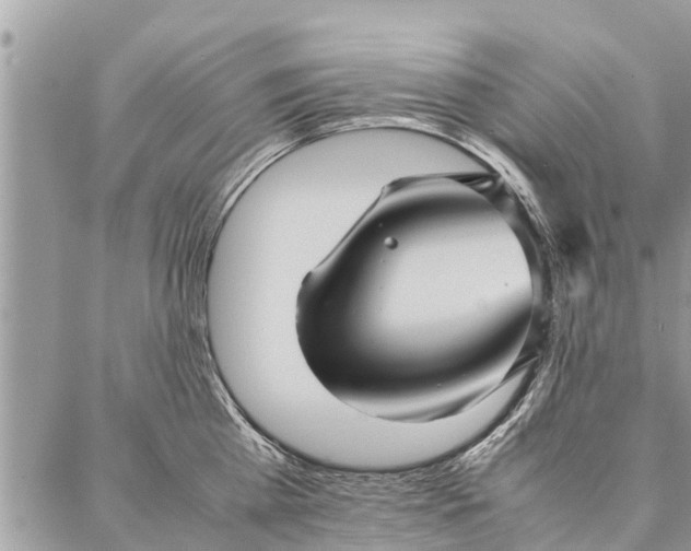 X0000087360809200705041854