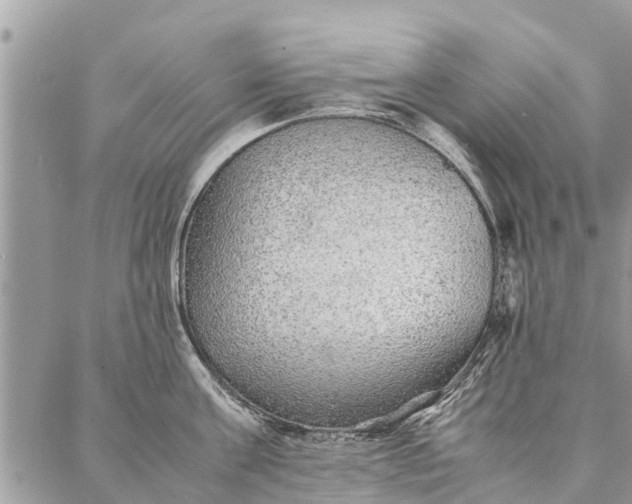 X0000087360811200705041854