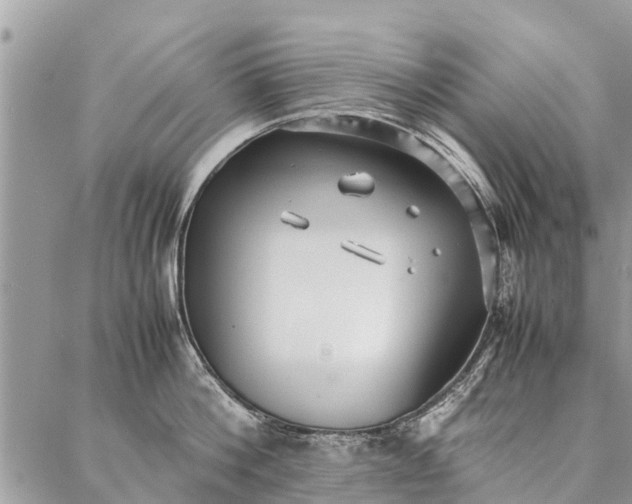 X0000087360812200705041853