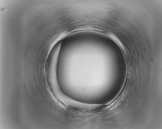 X0000087360813200705041853