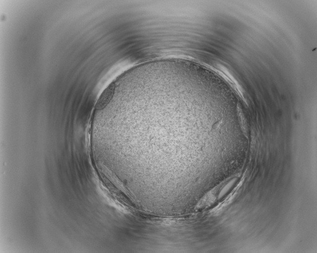 X0000087360814200705041853