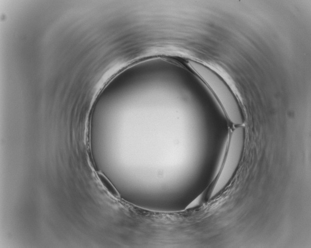 X0000087360815200705041853