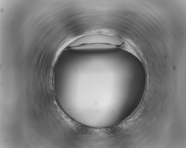 X0000087360816200705041853