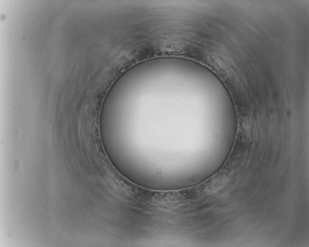 X0000087360817200705041853