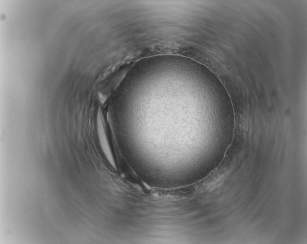 X0000087360818200705041853