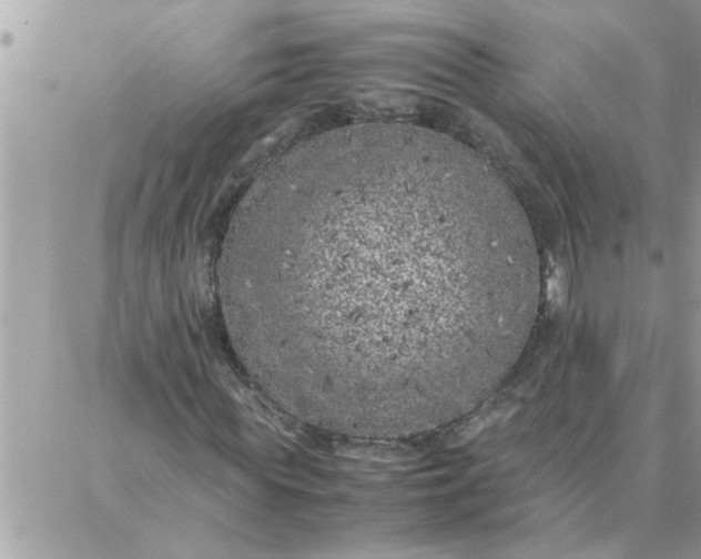 X0000087360819200705041853