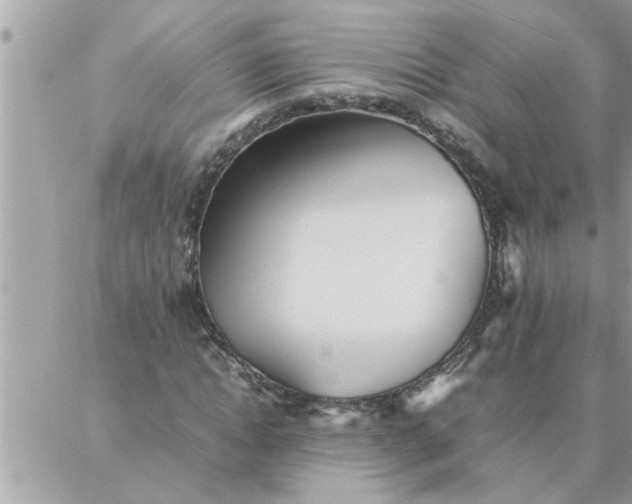 X0000087360822200705041853