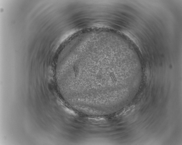 X0000087360823200705041853