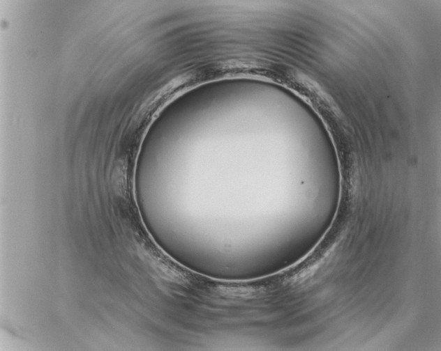 X0000087360825200705041853