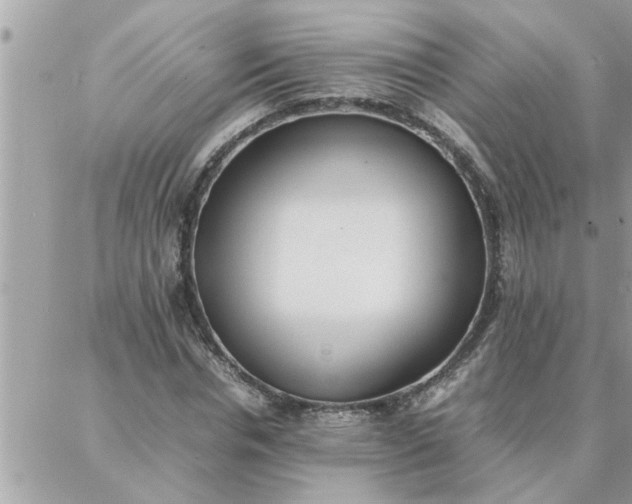 X0000087360826200705041853