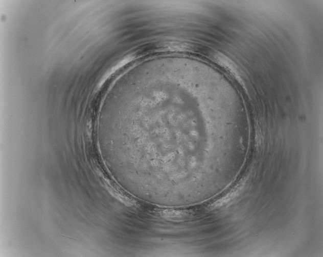 X0000087360827200705041853