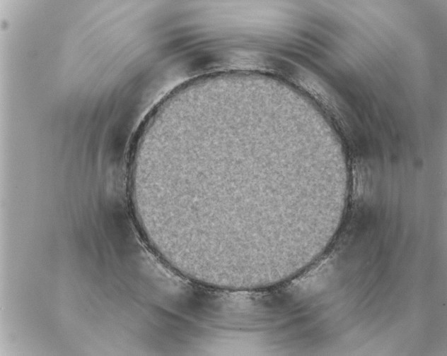 X0000087360828200705041853