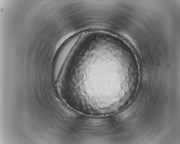 X0000087360829200705041853