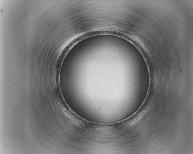 X0000087360830200705041853