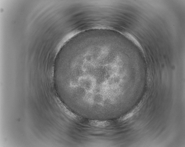 X0000087360831200705041853