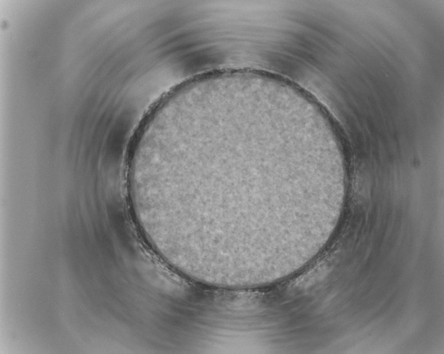 X0000087360832200705041853