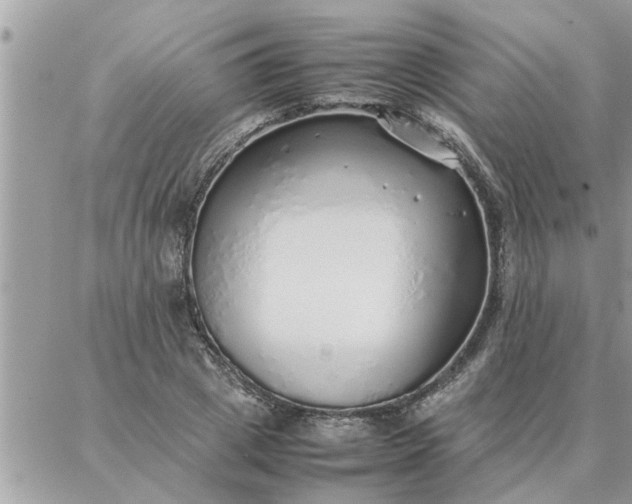 X0000087360833200705041853