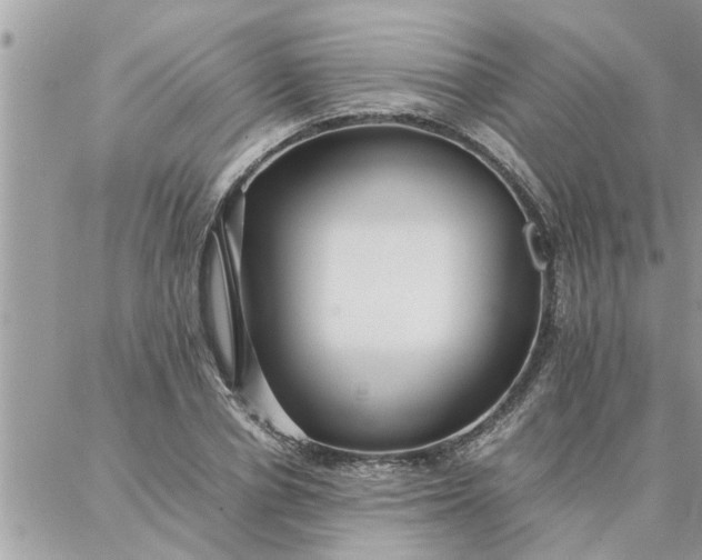 X0000087360834200705041853