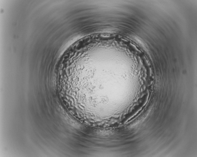 X0000087360835200705041853