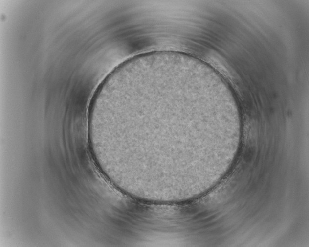 X0000087360836200705041853