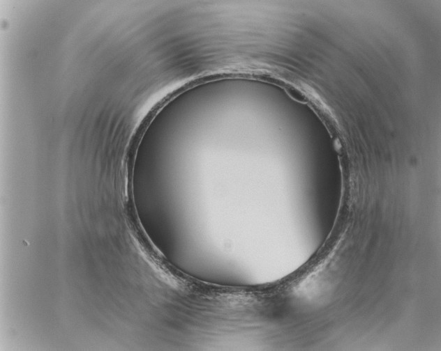 X0000087360838200705041853