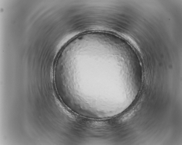 X0000087360839200705041853