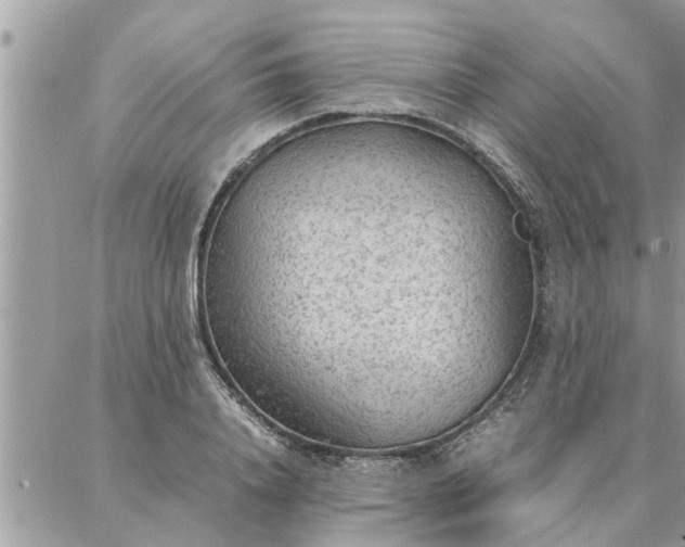 X0000087360840200705041853