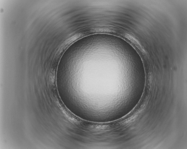 X0000087360841200705041853