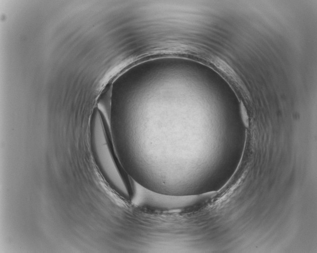 X0000087360842200705041853