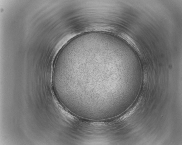 X0000087360844200705041853